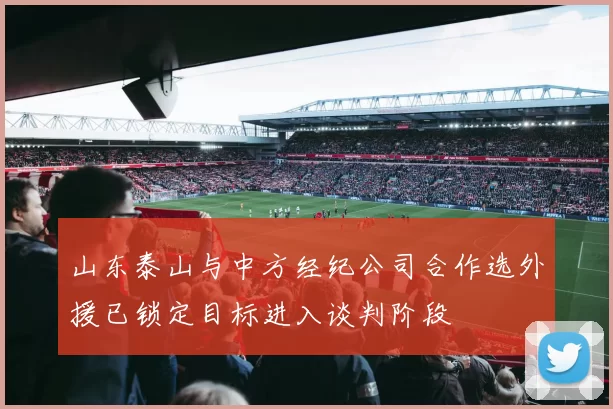 山东泰山与中方经纪公司合作选外援已锁定目标进入谈判阶段