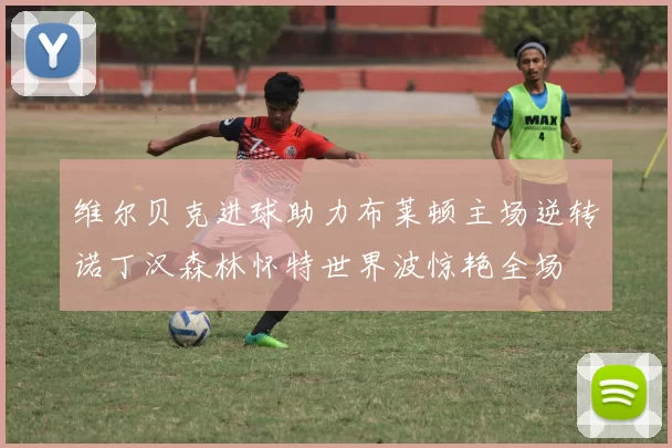 维尔贝克进球助力布莱顿主场逆转诺丁汉森林怀特世界波惊艳全场