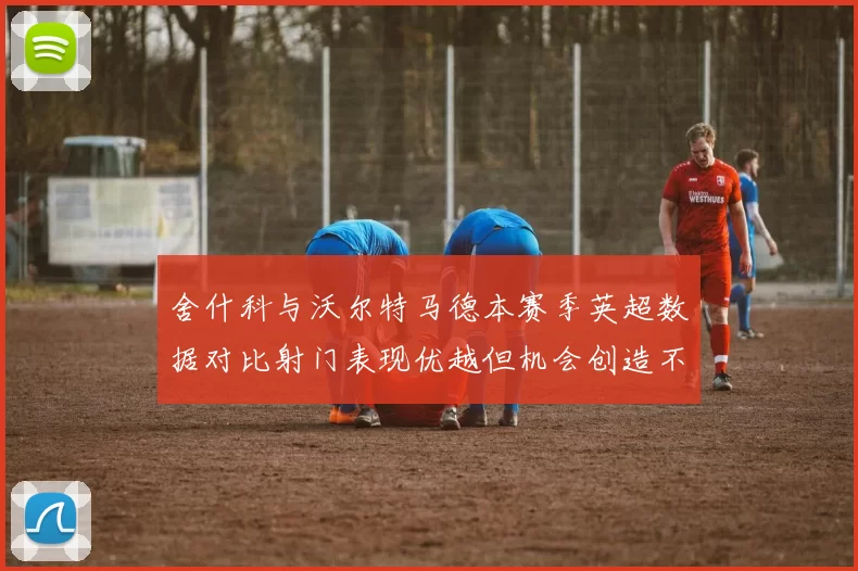 舍什科与沃尔特马德本赛季英超数据对比射门表现优越但机会创造不足