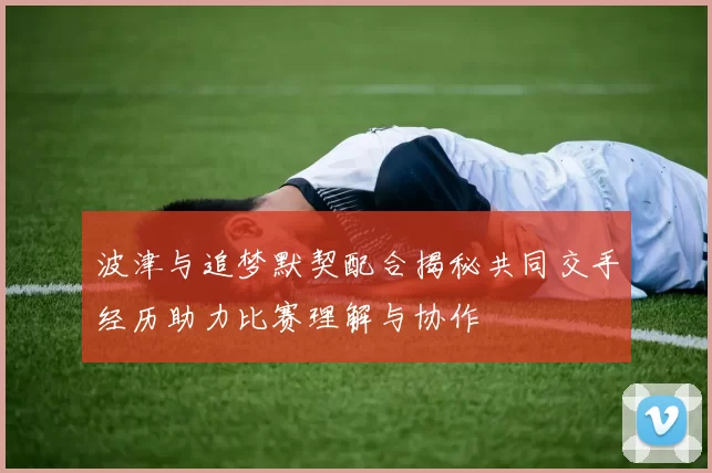 波津与追梦默契配合揭秘共同交手经历助力比赛理解与协作